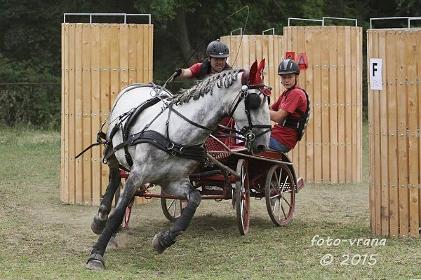 11904022_445895788944976_1021295080393669063_n