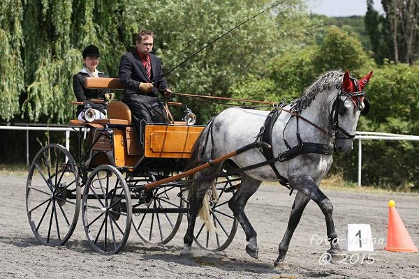 11905770_445896038944951_8714102858173325179_n