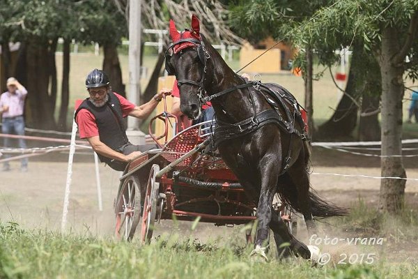 11921799_445895918944963_488482703734962631_n