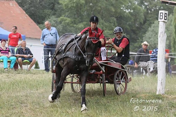 11949325_445895895611632_7645170345820707818_n