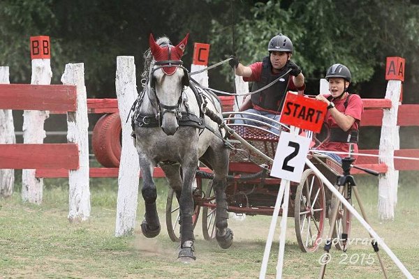 11954825_445895825611639_4308905149429619171_n