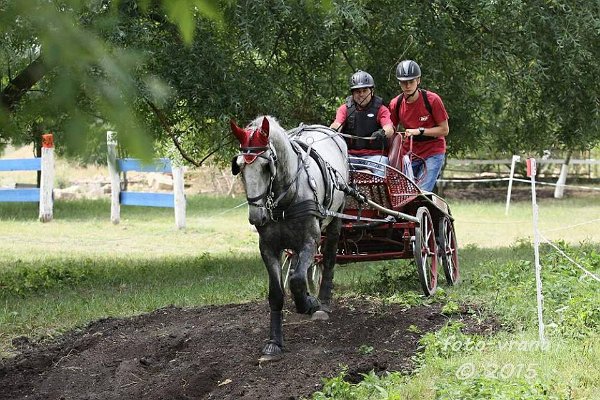 1512408_445895872278301_978269812651812832_n