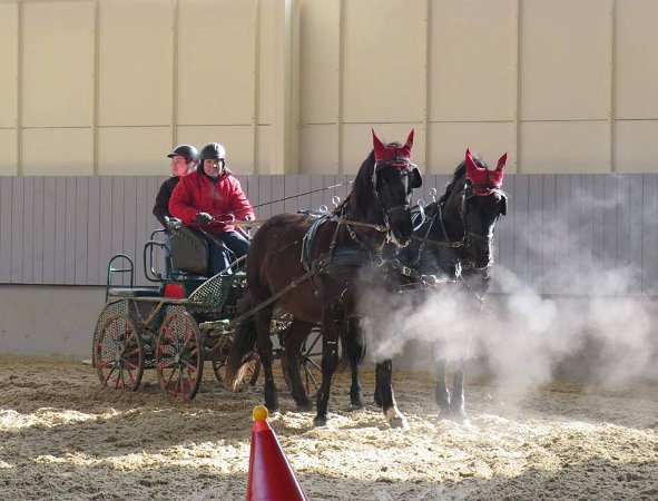 28279095_813819275485957_3638943550259247723_n