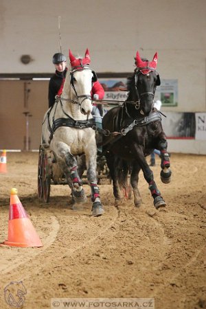 16649077_643228142545072_2632388270498940458_n