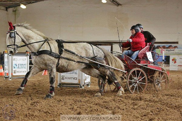 16684281_643227959211757_3330326196661251191_n