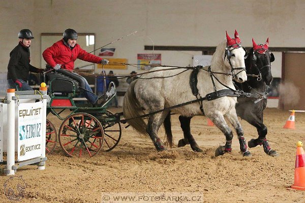 16730426_643227952545091_8779429270206488688_n