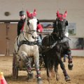 zimni-vozatajsky-pohar-drive-winter-tour-slatinany-11-2-2017