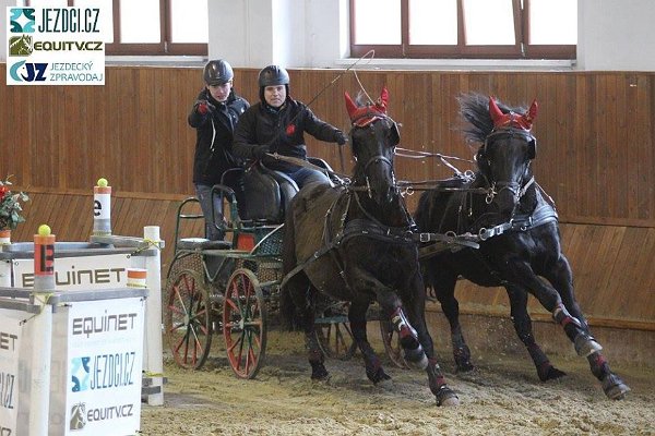 17343000_658592621008624_6280816524876088171_n