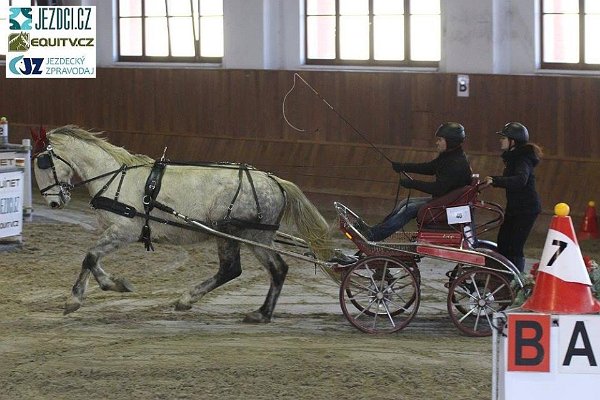 17352236_658592624341957_182321034203834386_n