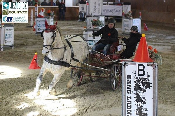 17353129_658592867675266_1262366919720227957_n