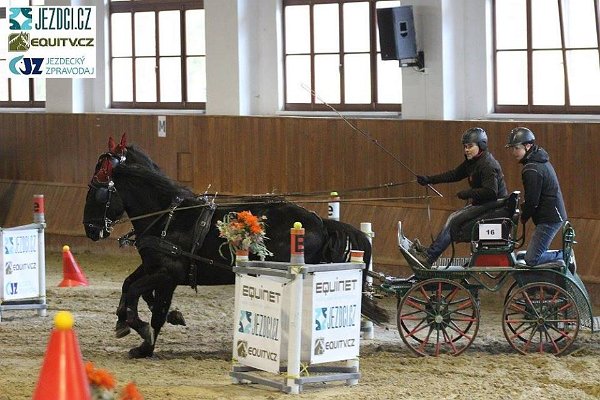 17353325_658592774341942_483054398861018110_n