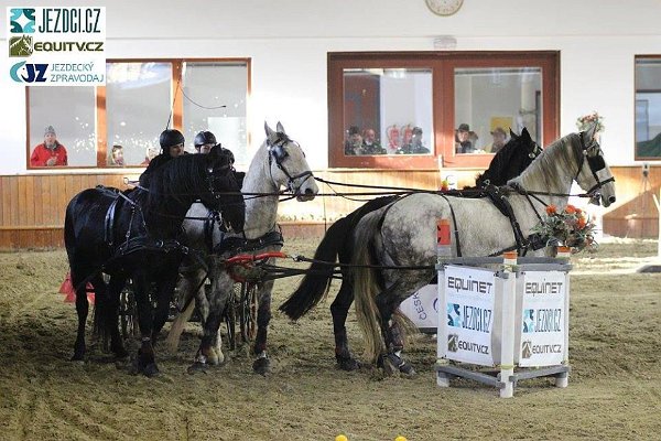 17361873_658592841008602_210836025051122948_n