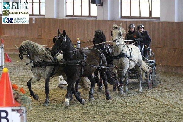 17362532_658592701008616_5676942112557556924_n