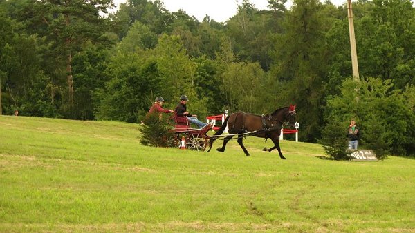 13876655_561710507363503_947126094308944893_n