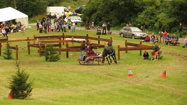 13900148_561710637363490_3446193539330091395_n