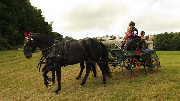 13900373_561710714030149_5585738782129610527_n