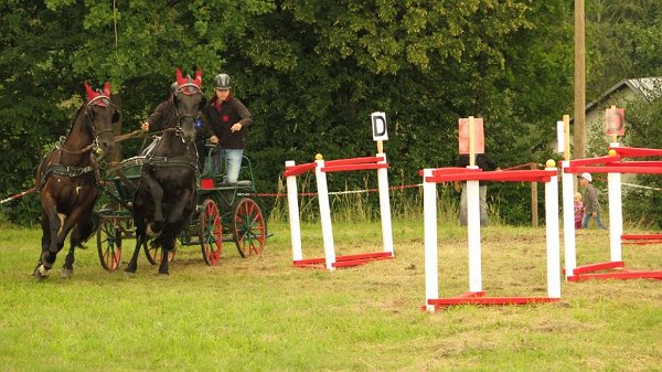 13920639_561710650696822_2129833499690835576_n