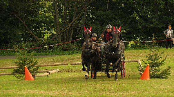 14021742_561710664030154_8204055271684387172_n