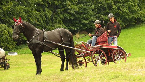 14040014_561710580696829_9158871195688535669_n