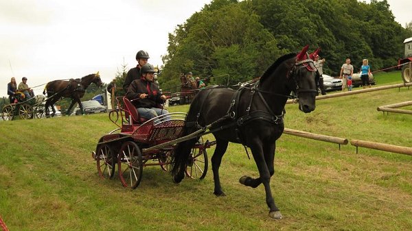 14046035_561710530696834_2498964706544611971_n