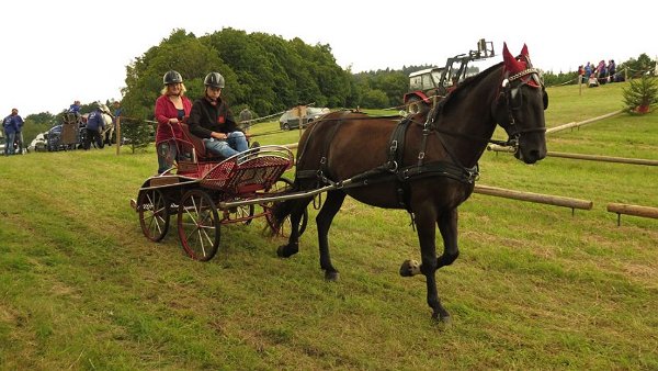 14054085_561710444030176_6716039516996547225_n