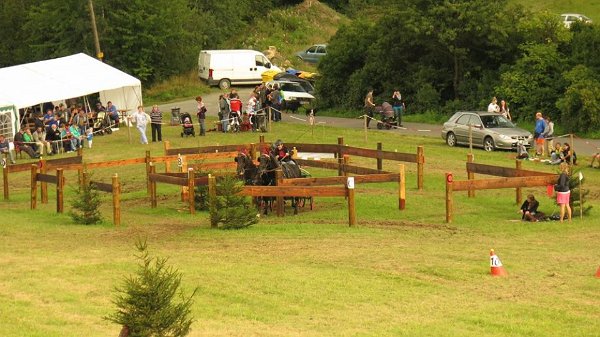 14054130_561710684030152_3356053839007907219_n