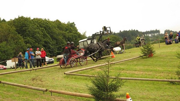 14054958_561710594030161_2917413249842255173_n