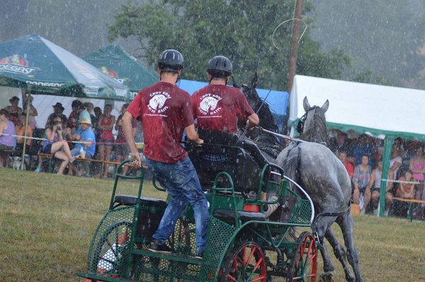 11891087_445914815609740_1360870067841425341_n