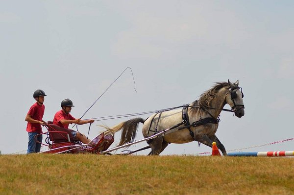 11914971_445914922276396_956764469959618044_n