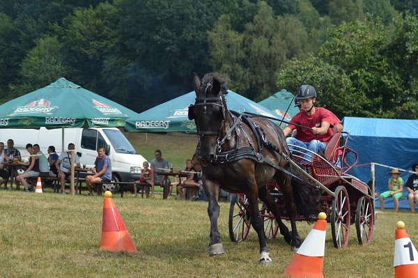 11951869_445914805609741_7168979721693187599_n