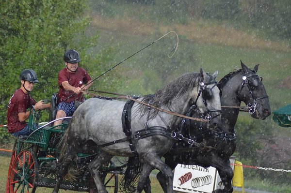 11960056_445914875609734_7653306918652940495_n